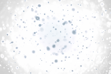 Winter snow particles and frosty elements PNG overlay 
