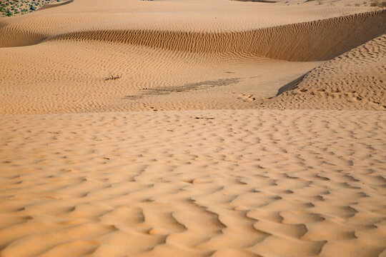 detalhe de dunas de areia fina e coloridas no deserto do saara, Tun&iacute;sia.