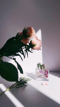 A clear glass diffuser bottle filled with dried florals rests in soft natural light, surrounded by gentle shadows, muted tones, and delicate botanical accents.