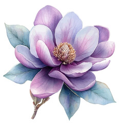 Magnolia Flower, elegant watercolor illustration luminous highlights, isolated on a white background. © zenvor