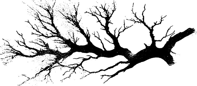 Abstract root branching stencil design for artistic exploration