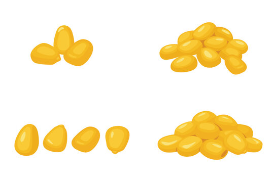 Corn kernels on a white background. Vector eps10.