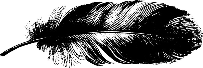 Obraz premium Abstract feather stencil illustration in black and white for artistic design