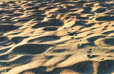 Sunlit rippled beach sand texture at golden hour, creating natural abstract patterns and soft shadows. Minimal coastal background ideal for design, nature, and summer concepts.