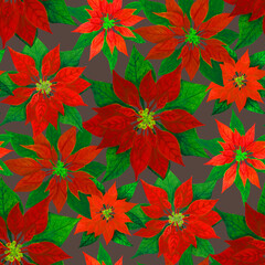 Hand drawn, watercolor red poinsettia, brown background. Seamless floral pattern-994.