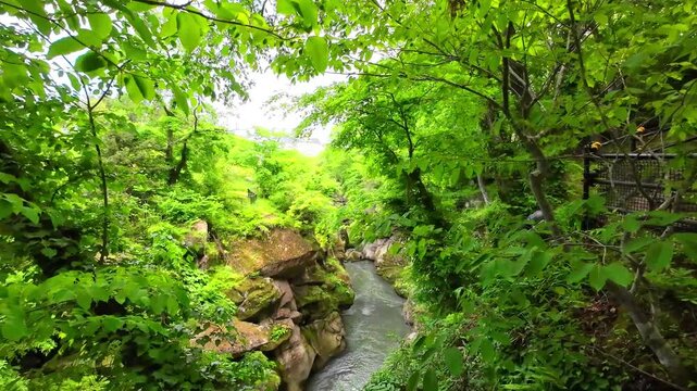 新緑の磊々峡【宮城県仙台市】