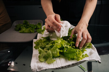 Close-up cropped shot of unrecognizable woman drying fresh green lettuce on clean white towel, preparing ingredients for healthy salad or dish.at home kitchen. Concept of healthy lifestyle.