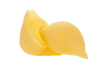 Wheat uncooked pasta conchiglie on white isolated background