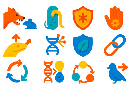 Evolutionary Process Icons. Flat vector icons of host-parasite co-evolution: predator-prey pair, parasite attachment, host immune