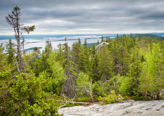 Koli National Park in the municipalities of Joensuu, Finland