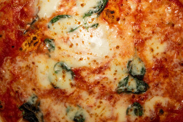 Close-Up of a Mouth-Watering Wood-Fired Pizza with Caramelized Cheese