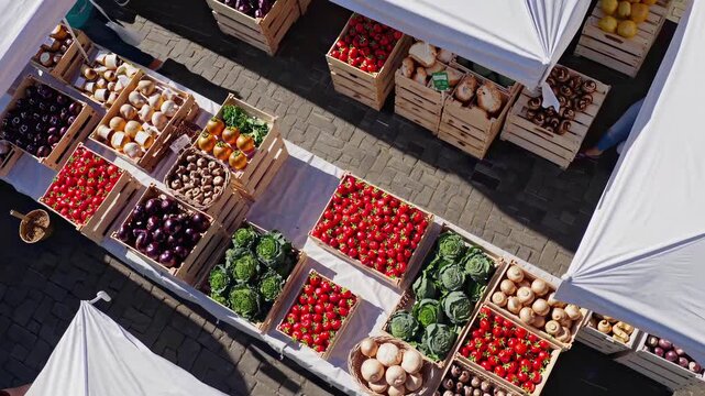Explore a vibrant farmer's market filled with colorful fruits and vegetables. Baskets brimming with fresh produce create a lively atmosphere, showcasing the abundance of seasonal delights ready for pu
