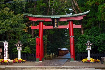弥彦神社（彌彦神社）鳥居