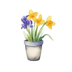 Spring watercolor composition with flowers in pots. Tulips, daffodils and crocuses in warm tones. Flower pots, soft pastel colors, hand painted. Perfect for spring cards.