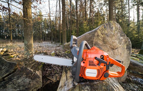 Closeup sharp portable gasoline chainsaw on old felled tree trunk in sunny forest. Orange hand-held sawing machine with replaceable chain on alloy steel guide bar. Work tool to cutting wood. Forestry.