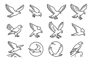 Fototapeta premium Falcon Flight Icons. Line style icons of falcon flight: soaring bird, stoop dive, wings spread, hovering pose; tail spread, folded