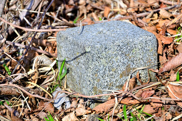 丹沢の大室山　大杉丸の三角点
