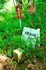 道志山塊の道志山稜縦走コース　赤鞍ヶ岳の山頂
