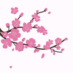 Blooming branch of tree plum, flat vector isolated illustration, element, korean, chinese scene
