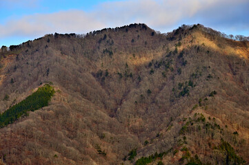 丹沢の高指山より道志山塊の日向峰を望む

