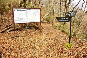 丹沢の大棚ノ頭　甲相国境尾根の山伏峠東分岐
