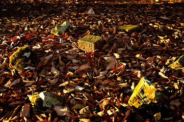 道志山塊の岩下ノ丸山頂　朝焼けの標石
