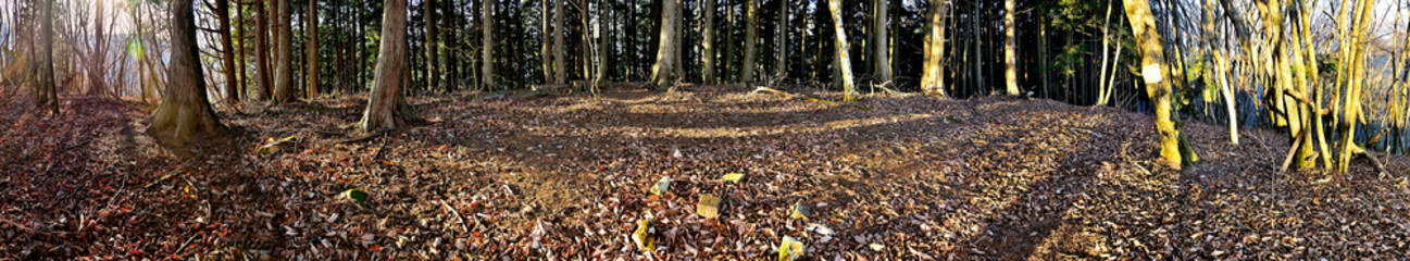 道志山塊の岩下ノ丸山頂　朝日のパノラマ写真
