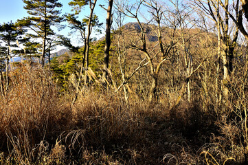 道志山塊の岩下ノ丸より朝日の御正体山を望む
