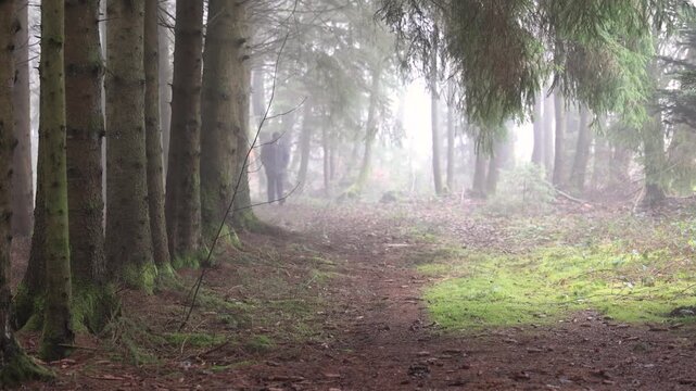 A solitary man walks through a misty forest trail, expressing melancholy, reflection, calmness and emotional introspection.
