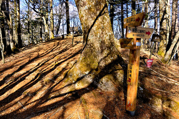 道志山塊の御正体山　峰宮跡展望台の分岐
