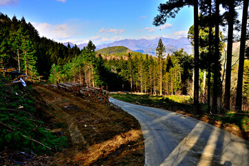 道志山塊の御正体山　菅野林道より大菩薩連嶺を望む
