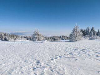 Winter Landscape of Vitosha Mountain, Bulgaria