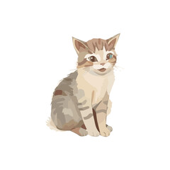 A cute young gray and white kitten sitting on a white background and looking at a mouse