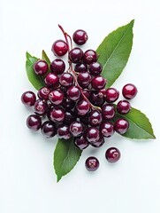 chokeberry isolated on white background