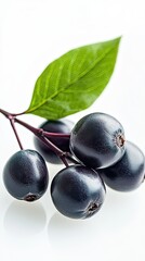 chokeberry isolated on white background