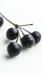 chokeberry isolated on white background