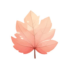 Obraz premium Red maple leaf on white background in autumn colors