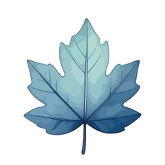 Obraz premium Autumn maple leaf isolated on white background with natural colors and texture