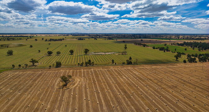 Neatly aligned paddocks with bales and striped crop rows