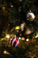 christmas tree with red baubles © Lucy Rock