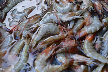 Fresh Raw Shrimp Displayed for Sale at a Fish Market Stall