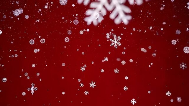 Elegant White Snowflakes Gently Falling on a Rich Red Background, Capturing the Essence of Winter and Holiday Cheer 4k video footage