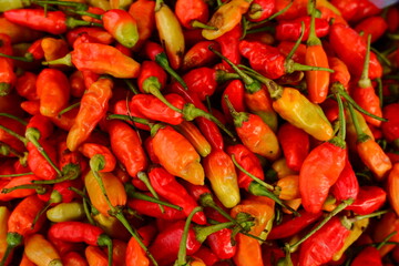 Close-up Fresh Organic Red Chili Pepper Pile Displayed in Market