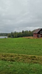 Fototapeta premium roadtrip through sweden rainy day