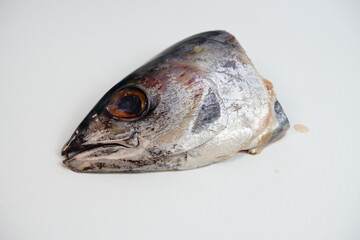 Detailed Studio Close Up of Fresh Tuna Head on White Background