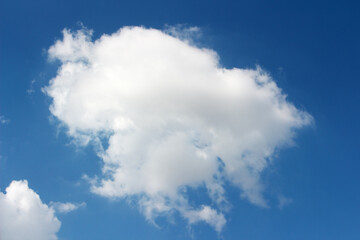 Fototapeta premium Blank sky surface with small clouds