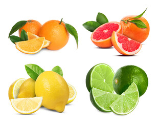 Collection of fresh citrus fruits isolated on white