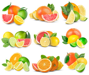 Set of various citrus fruits isolated on white