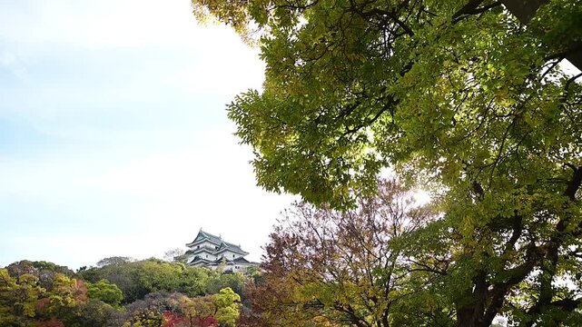 秋の和歌山城 （和歌山県和歌山市, 2025年12月）