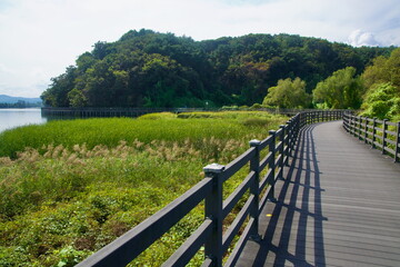 Curving Wetland Boardwalk